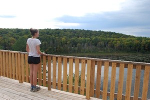 <b>Cedar Viewing Platform</b>